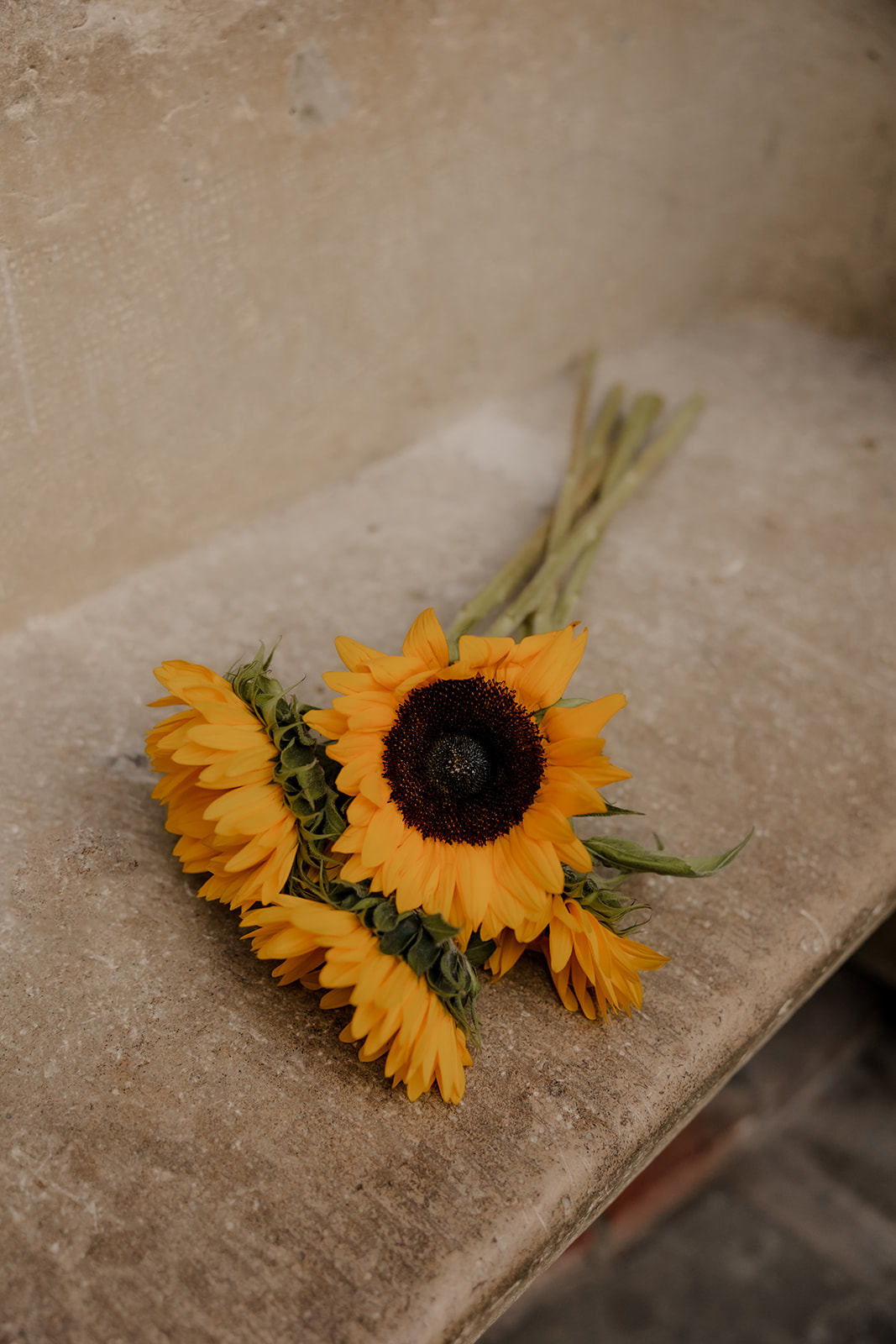 beautiful details of a New England castle engagement photoshoot