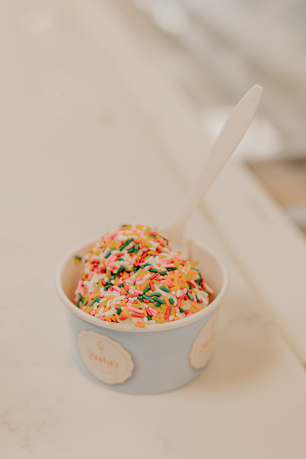 family eats ice cream together after their stunning Boston summer elopement