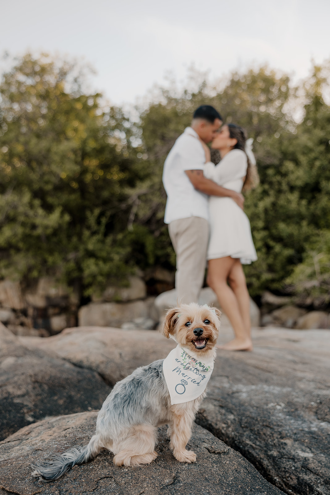 stunning couple pose with their dog during their beach engagement photoshoot